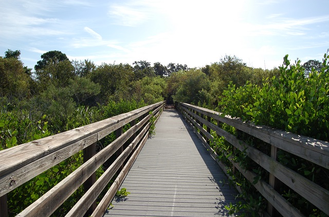 boardwalk