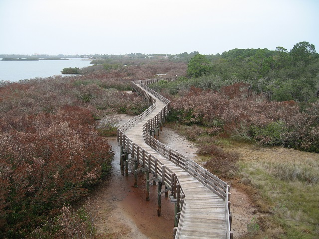 boardwalk