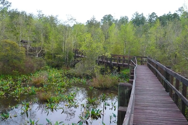 boardwalk