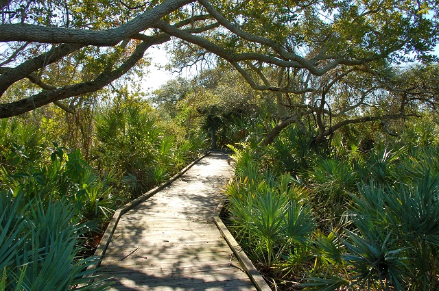 boardwalk