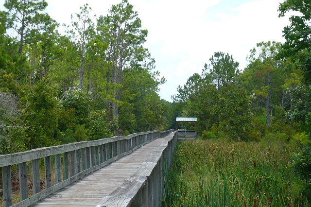 boardwalk