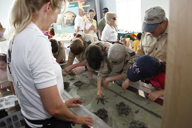 touch tank