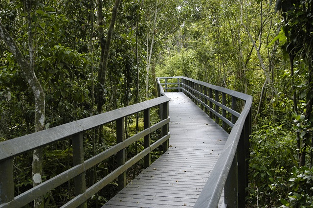 boardwalk