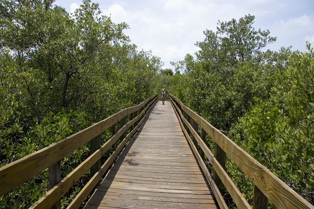 boardwalk