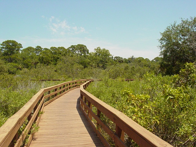 boardwalk