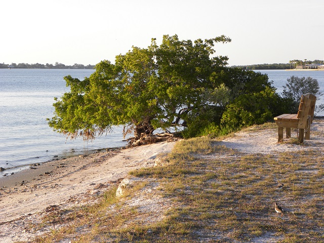 bench