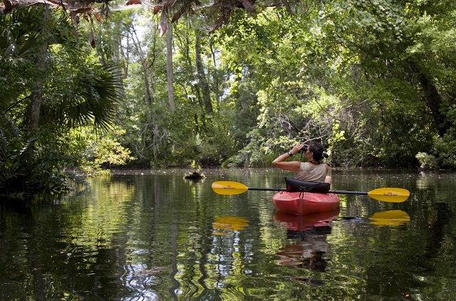 kayak