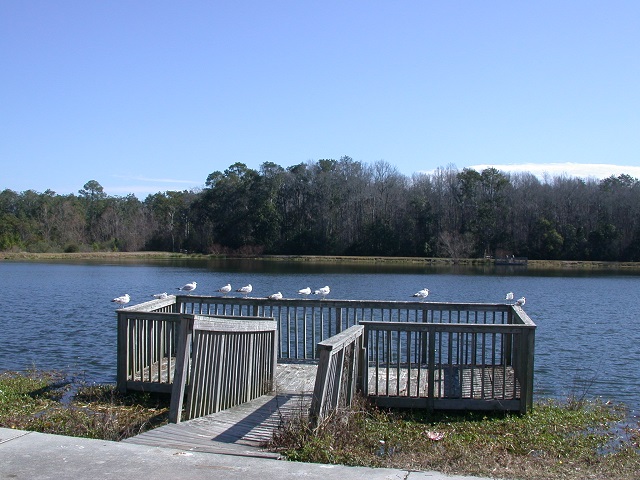 boardwalk