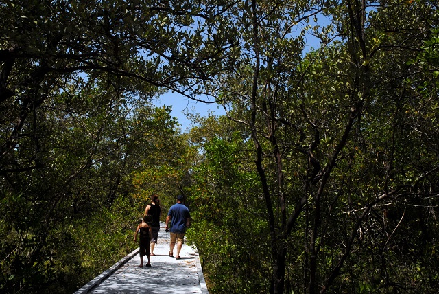 boardwalk