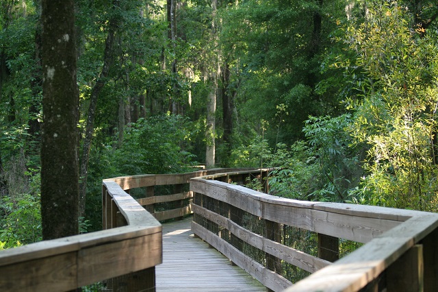 boardwalk