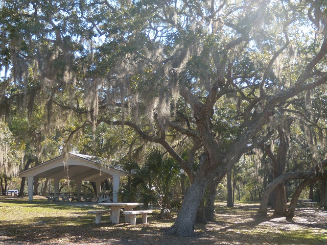 picnic area