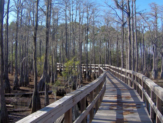 boardwalk