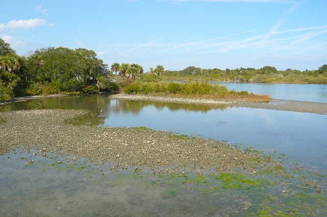 mudflats