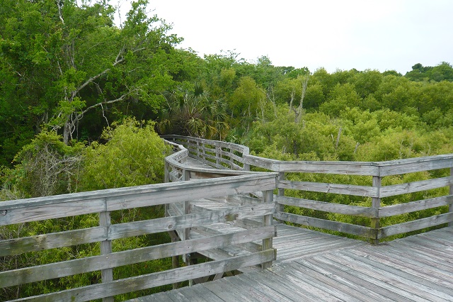 boardwalk