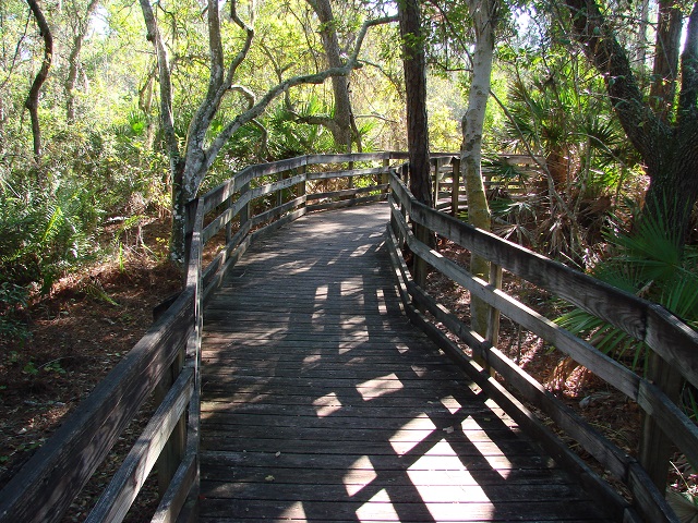 boardwalk