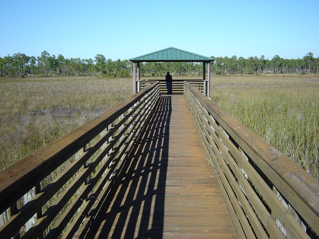 boardwalk