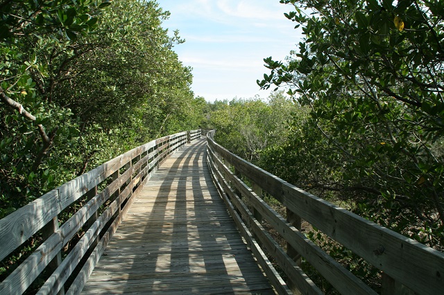 boardwalk