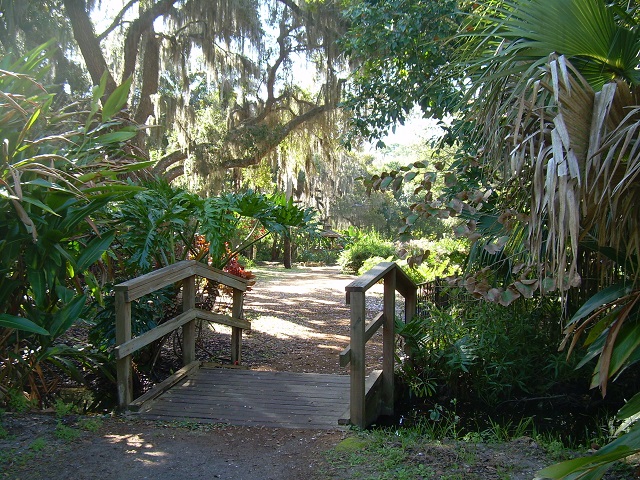 boardwalk